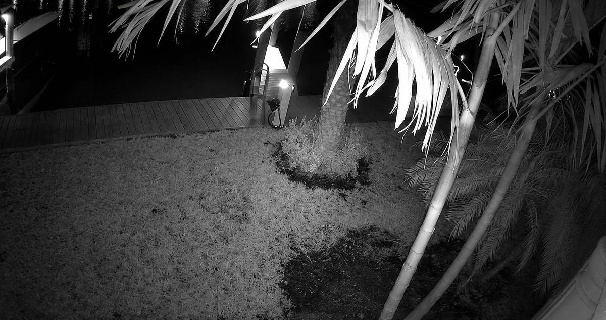 Captura real: visión nocturna infrarroja en blanco y negro